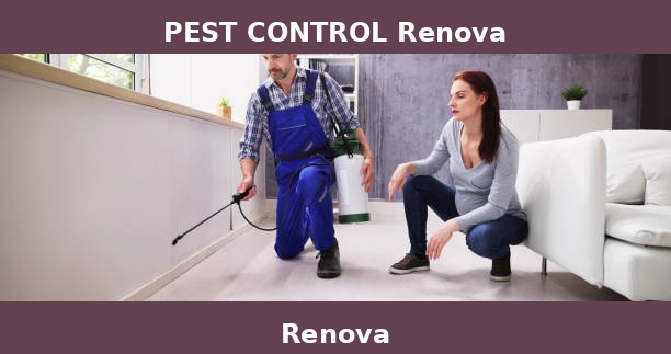 PEST CONTROL Renova